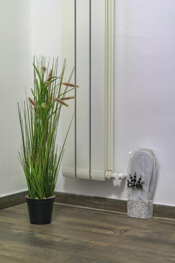 Apartment Queen Nagyszeben Kültér fotó